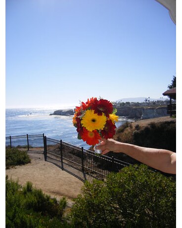 Beach Weddings