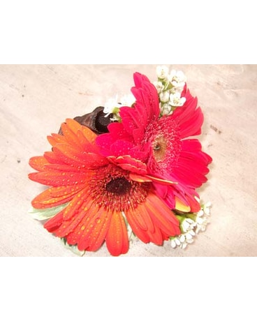 Gerbera Corsage