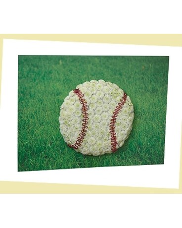 Baseball Tribute