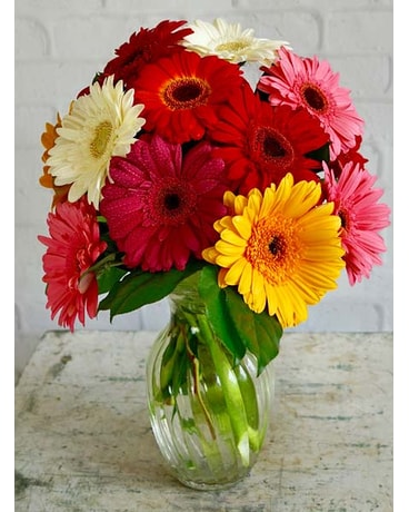 Happiest Gerberas