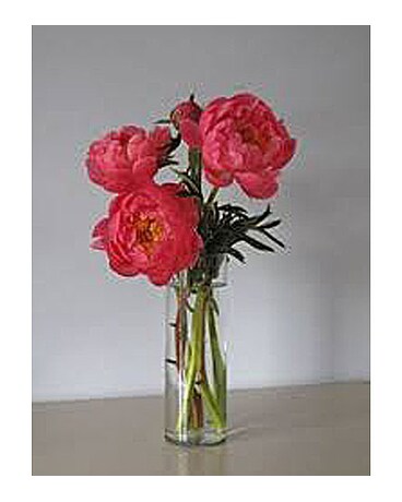 Coral Peonies Flower Arrangement