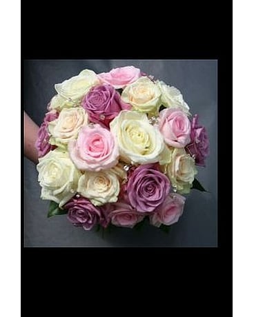 Mixed Roses