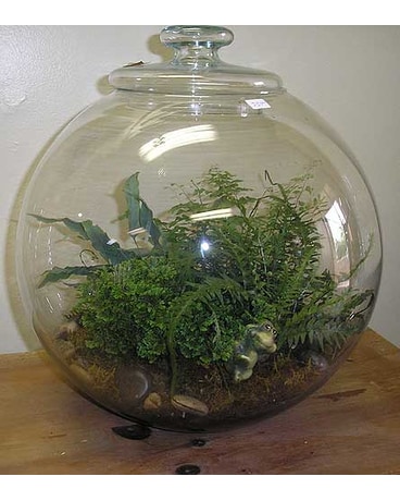 Terrarium
