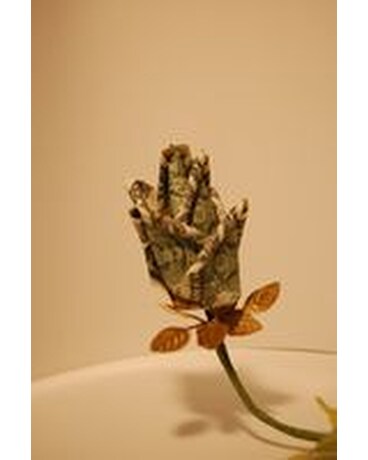 Money rose 1