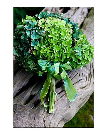 Hush of Hydrangeas