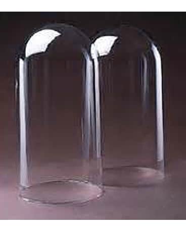 Dome Cloche