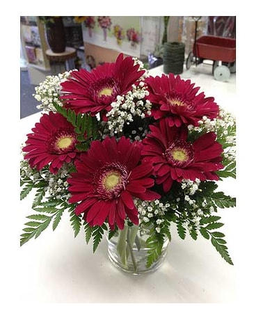 Red Gerber and Baby Breath in vase Flower Arrangement