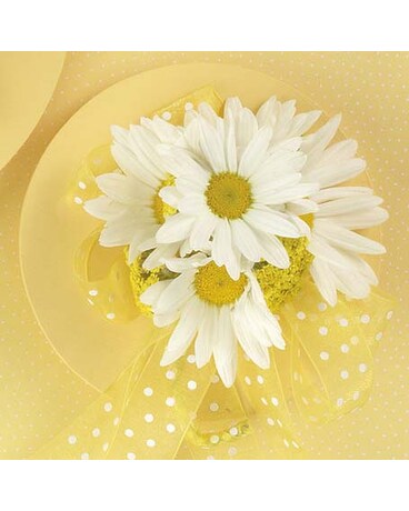 Daisy & Yarrow Corsage