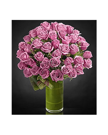 Nice Lavander Roses