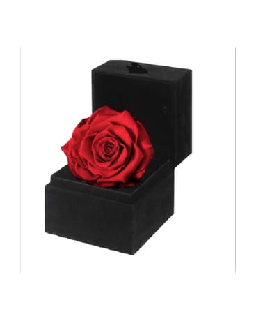 Preserved Red  Rose Flower Arrangement