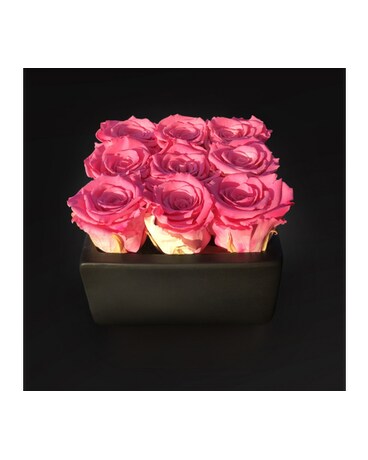 Preserved Pink Rose Forever