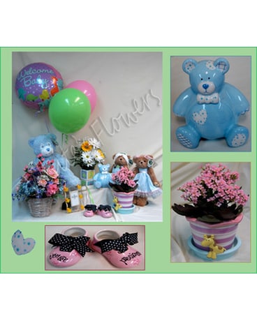 Baby Collection