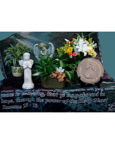 Sympathy Collection