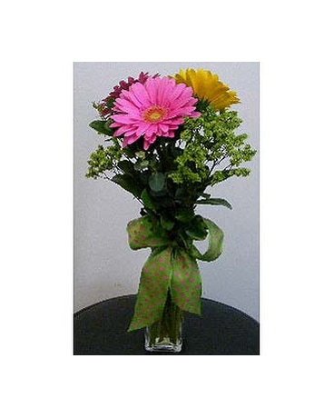 3 Gerbera Bud Vase