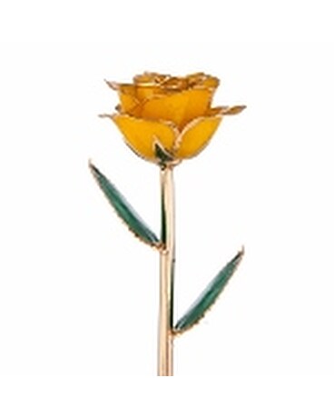 Gold dipped yellow rose