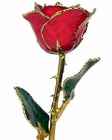 Red Gold Dipped Rose