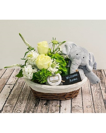 Small Baby Basket