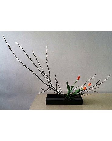 Zen with Tulips