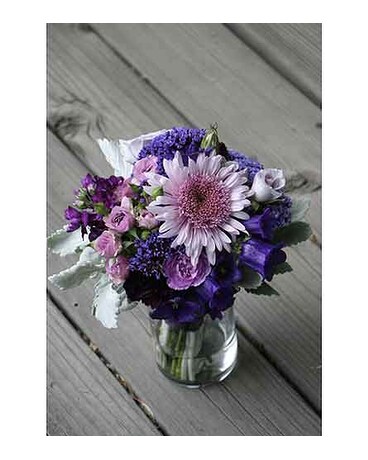 Lavender Dreams