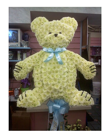 Teddy Bear