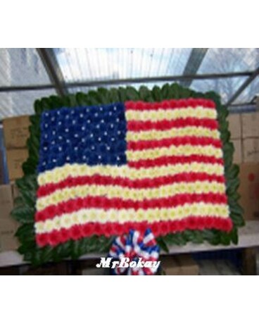 American Flag Tribute