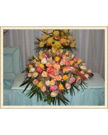 Rose blanket