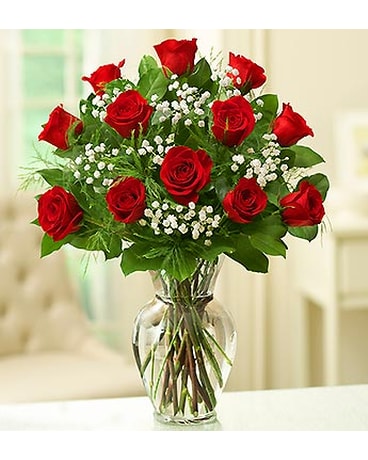 12 Red Roses Arranged