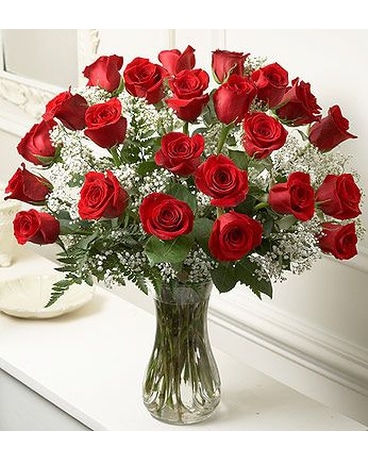 24 Red Roses with Baby's Breath