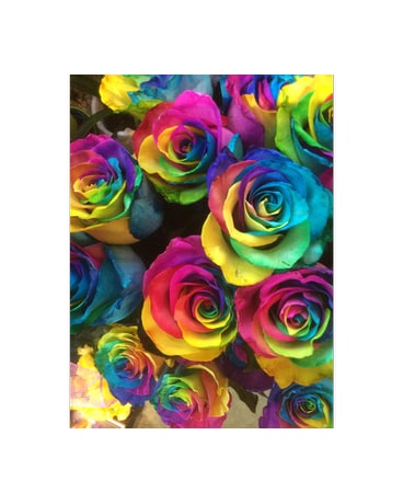 Rainbow Roses