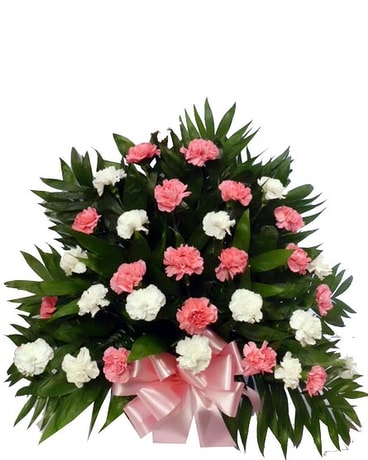 32 Carnation Tribute Mache: Pink and White