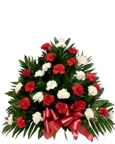 32 Carnation Tribute Mache: Red and White