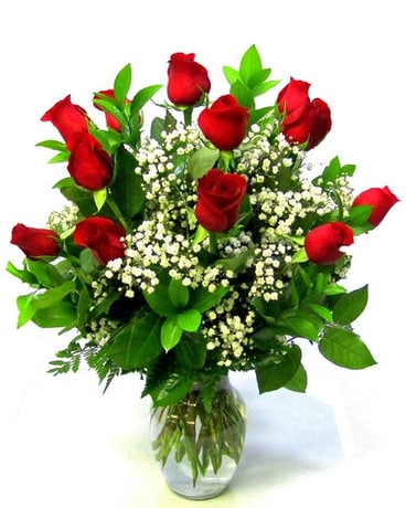 Deluxe Dozen Roses: Longer Stemmed