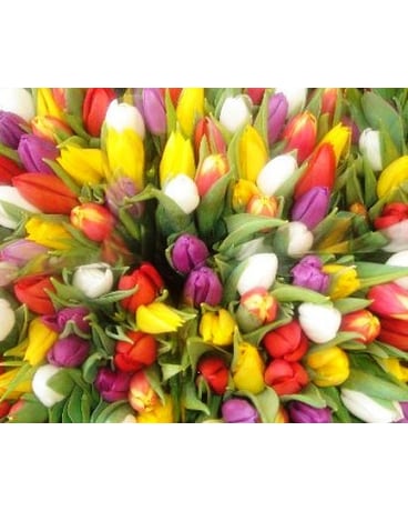 25 Gorgeous Tulips Bouquet (Special Offer) Flower Arrangement