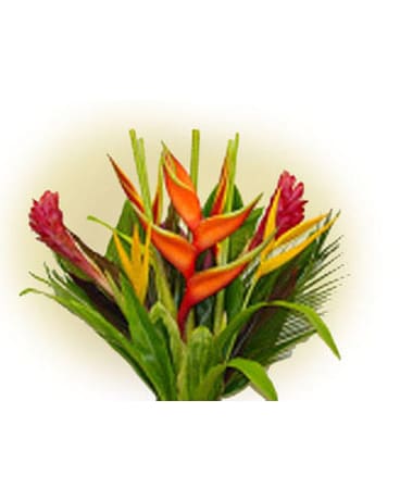 Tropical B-01 (Sep 12 -Sep 17) Flower Arrangement