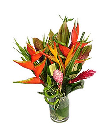 Tropical V-03  (Sep 12-Sep 17) Flower Arrangement