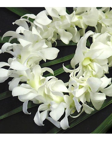 White Lei
