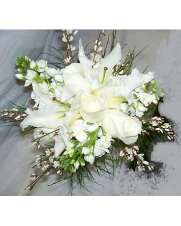 
White Light