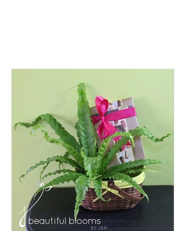 Indoor Green Plant and Chocolate