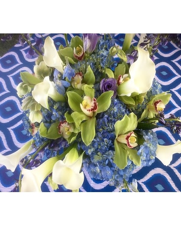 Blue and Cream