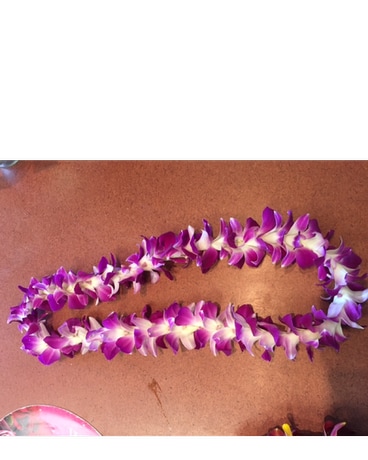 Single Lei size,  inches height and  inches wide.