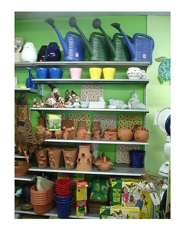 Inside Our Shop