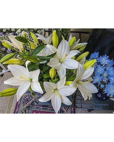 Flowers by the Stem