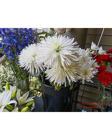 Flowers by the Stem