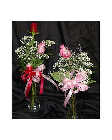 Cheery  Bud Vases To Go $5.50 & up