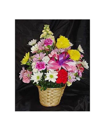 Colorful  Arrangements