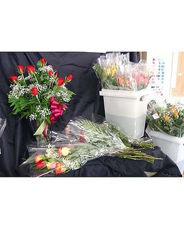 Rose Special