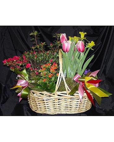 Gift of Spring Flower Arrangement