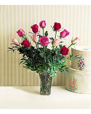 A Dozen Multi Colored Roses