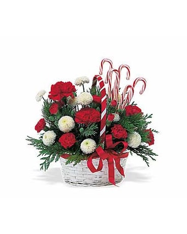 Candy's Cane Basket