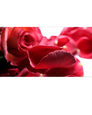Rose Petal Gift Box